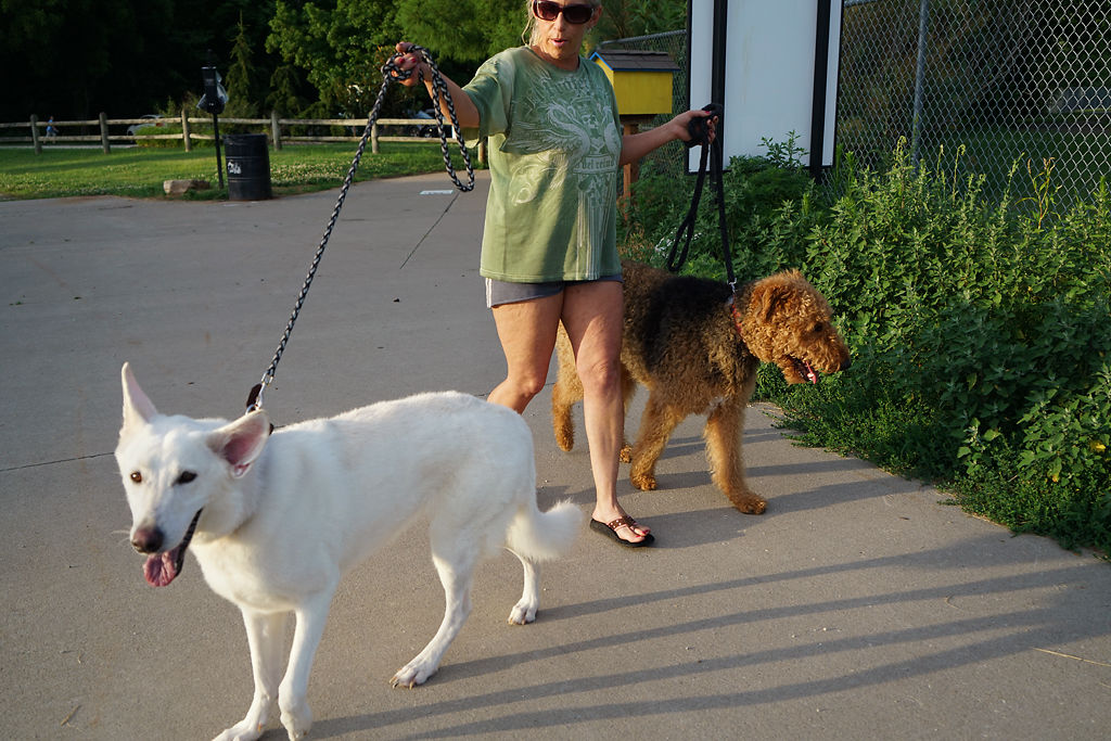 Danielle King walks dogs Wednesday, July 1, 2020, at Twin Lakes Dog Park
